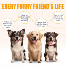 Load image into Gallery viewer, Lakadong Turmeric CurQmix for Dogs 110gm - Joint & Immune Supplement