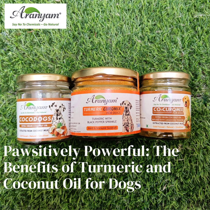 Pawsitively Powerful: The Benefits of Turmeric and Coconut Oil for Dogs