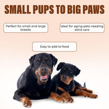 Load image into Gallery viewer, Co-CurQmix for Dogs - Extra Virgin Cold Pressed Coconut Oil Extracted from Coconut Milk Infused with Lakadong Turmeric -160ml Nutritional Supplement
