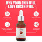 Rosehip Oil