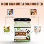 Coco Dogs