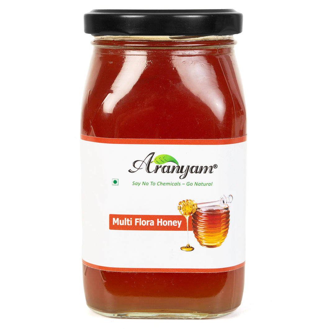 Aranyam Himalayan Multiflora Honey in Glass Bottle - 500g | Pure, Wild, Natural & Unprocessed Honey by Cerana Indica Bee